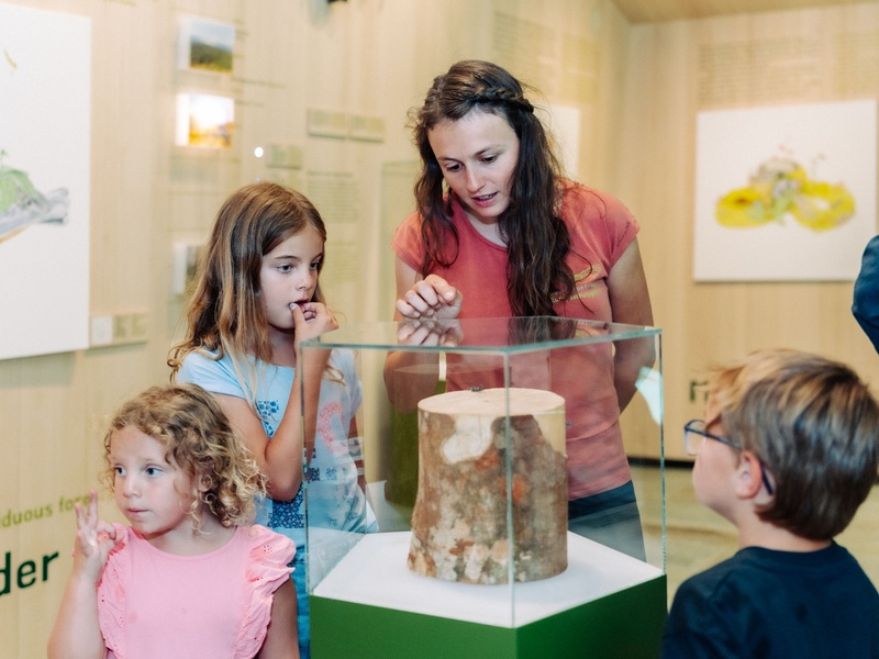 Der Naturraum.Verwall ist eine interaktive, naturkundliche Ausstellung über einen einzigartigen Gebirgslebensraum.
Die Natur im Verwall entdecken