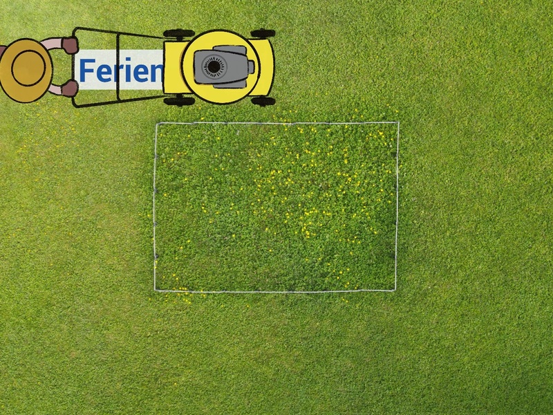 Im Mai 2025 sind Rasenbesitzer:innen aufgerufen, ihren Rasen für mehr Naturvielfalt weniger zu mähen. 
                                    
                                        GE_NOW