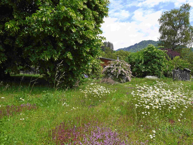 Siegerfoto der Challenge "Ferien für den Rasenmäher", Familie Bardill-Gerber, Schiers im Prättigau 
                                    
                                        GE_NOW