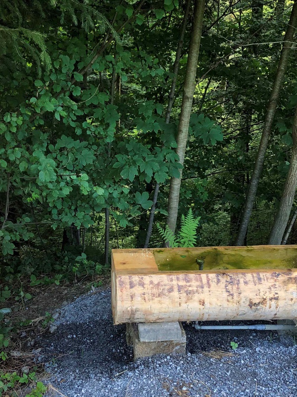 Der Brunnen fordert die Besucher:innen zu einer erfrischenden Kneipp-Anwendung auf.