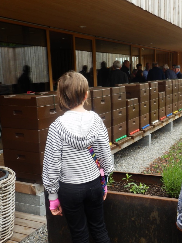 Gross und klein interessierten sich für Bienhaltung bei der Eröffnung der Imkerschule.