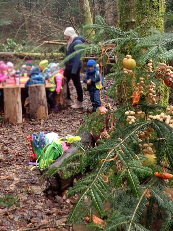 Unterstützt vom Gemeindeförster richten die Kinder der Kleinkinderbetreuung Hohenweiler im Bachspielwald einen Futterbaum für Tiere her und lernten nebenbei allerlei Wissenswertes rund um das Ökosystem Wald. Foto: Conny Feurstein