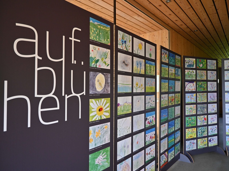 Die Ausstellung "Aufblühen" lädt ein, die Wiesenvielfalt im Großen Walsertal auf 183 von Volksschulkindern gemalten Bildern zu entdecken. 