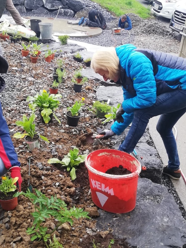 Nach dem Bepflanzen folgen im Kräutergarten die Beschilderung der Pflanzen und das Errichten einer Sitzgelegenheit.