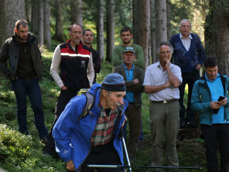 Aktionstag Haselfichte 2016