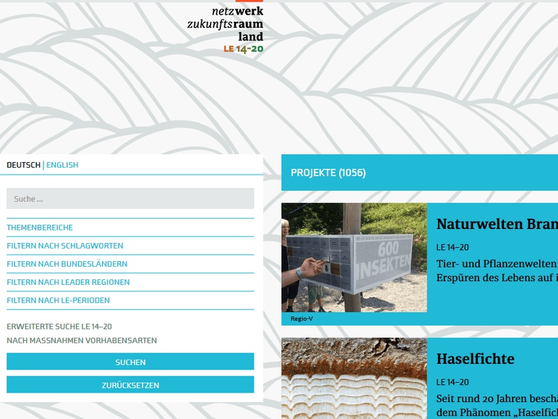 Screenshot Projektdatenbank Netzwerk Zukunftsraum Land