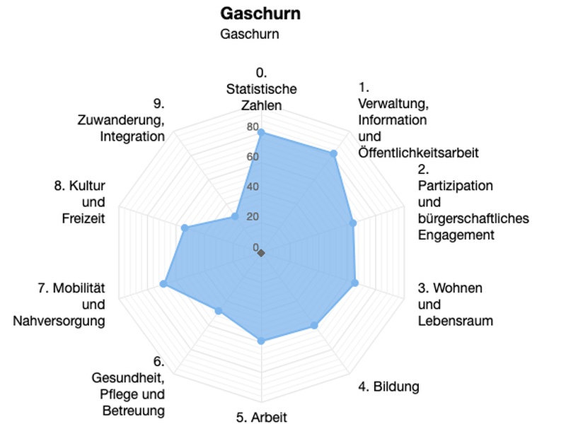 Das Sozialplanungsinstrument zeigt anhand von Spinnendiagrammen, in welchen Bereichen der Handlungsbedarf in der Gemeinde besonders groß ist.