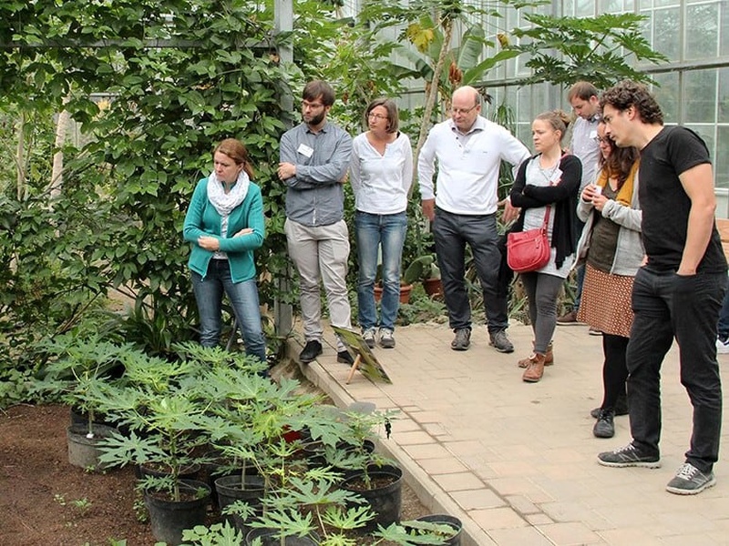 Das Tropenhaus Klein Eden erzeugt exotische Früchte mithilfe der Abwärme einer Glasfabrik. Foto: Deutsche Vernetzungsstelle Ländliche Räume